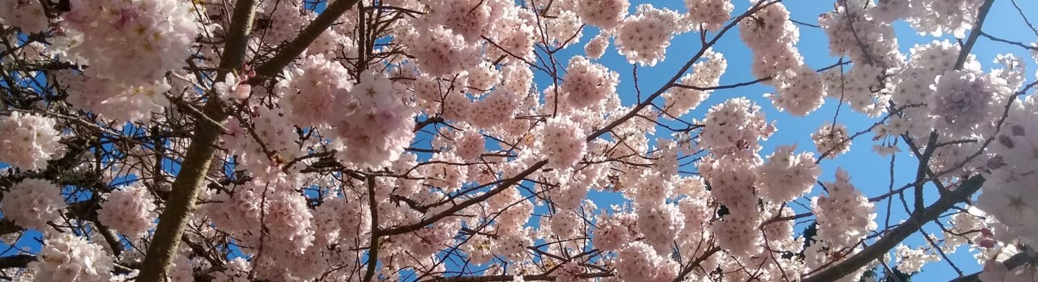 Mill Creek Community Association